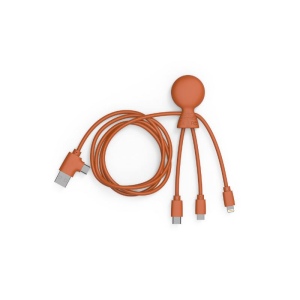 Mr Bio Long - Câble d'1 M avec une double entrée Type C/USB 11