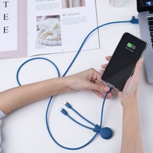 Mr Bio Long - Câble d'1 M avec une double entrée Type C/USB 30