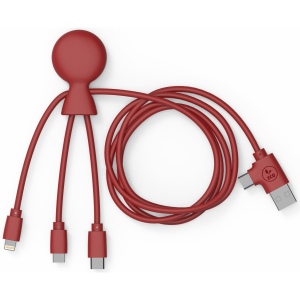 Mr Bio Long - Câble d'1 M avec une double entrée Type C/USB 32