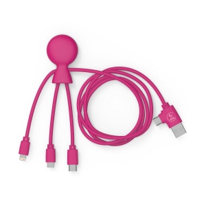 Mr Bio Long - Câble d'1 M avec une double entrée Type C/USB 34