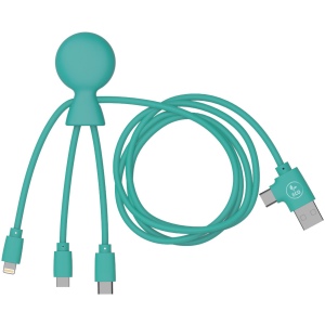 Mr Bio Long - Câble d'1 M avec une double entrée Type C/USB 35