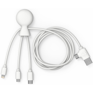 Mr Bio Long - Câble d'1 M avec une double entrée Type C/USB 36