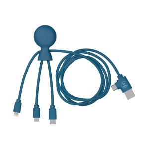 Mr Bio Long - Câble d'1 M avec une double entrée Type C/USB 37
