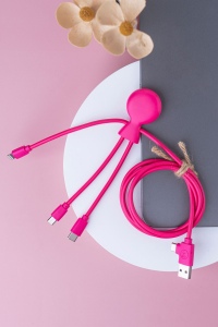 Mr Bio Long - Câble d'1 M avec une double entrée Type C/USB 12