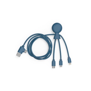 Mr Bio Long - Câble d'1 M avec une double entrée Type C/USB 15