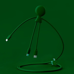Mr Bio Long - Câble d'1 M avec une double entrée Type C/USB 16