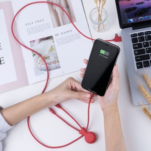 Mr Bio Long - Câble d'1 M avec une double entrée Type C/USB 18