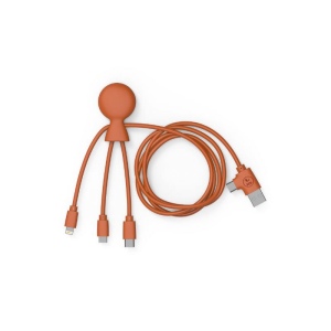Mr Bio Long - Câble d'1 M avec une double entrée Type C/USB 3