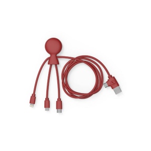 Mr Bio Long - Câble d'1 M avec une double entrée Type C/USB 2