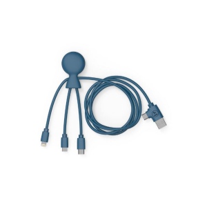 Mr Bio Long - Câble d'1 M avec une double entrée Type C/USB 7