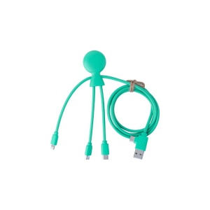 Mr Bio Long - Câble d'1 M avec une double entrée Type C/USB 5