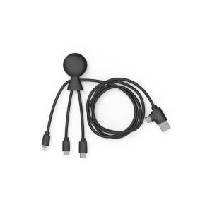 Mr Bio Long - Câble d'1 M avec une double entrée Type C/USB 9