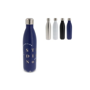 Bouteille isotherme Swing 750ml