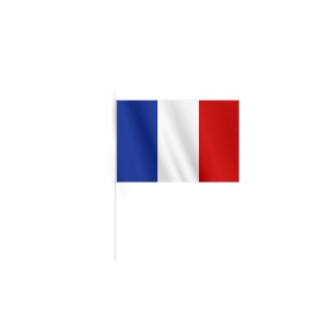 Drapeau rpet 15x10 cm 4