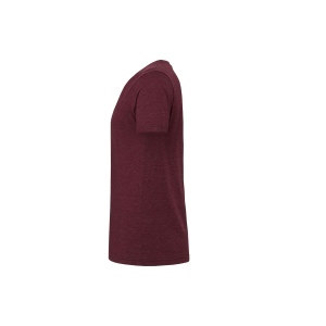 Tee-shirt unisexe Triblend 31
