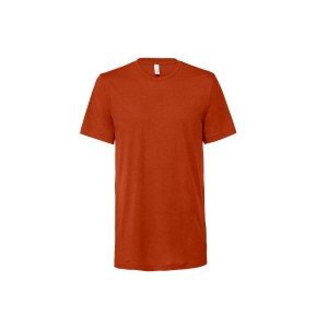 Tee-shirt unisexe Triblend 12