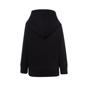 Sweat capuche 290 17