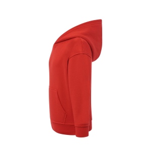 Sweat capuche 290 29