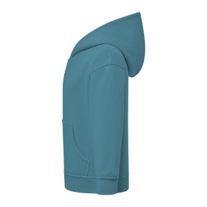 Sweat capuche 290 38