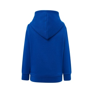 Sweat capuche 290 19