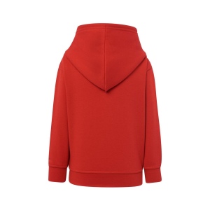 Sweat capuche 290 21