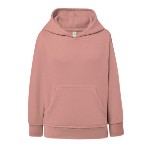 Sweat capuche 290 14