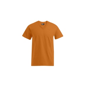 Tee-shirt homme col V 9