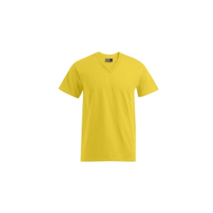 Tee-shirt homme col V 7
