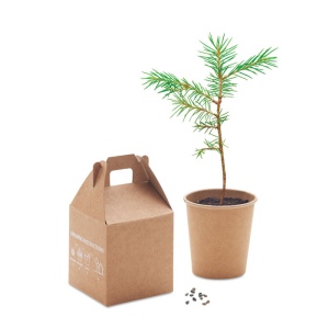 Un set, un pin - GROWTREE™ 4