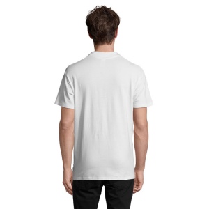 SPRING II  Polo Homme 210g - SPRING II 41