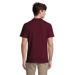 SPRING II  Polo Homme 210g - SPRING II 25