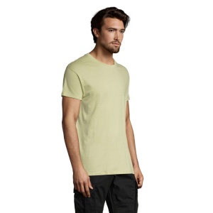 REGENT T-Shirt 150g - REGENT 134