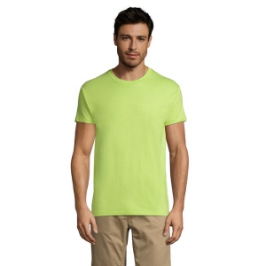 REGENT T-Shirt 150g - REGENT 2
