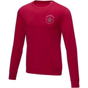 Pull ras de cou Zenon pour homme 23