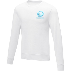 Pull ras de cou Zenon pour homme 25
