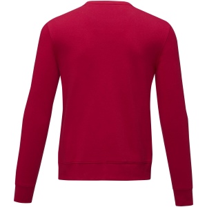 Pull ras de cou Zenon pour homme 31