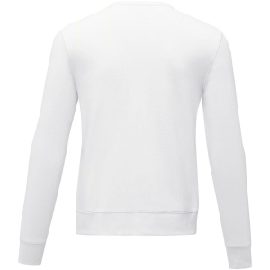 Pull ras de cou Zenon pour homme 33
