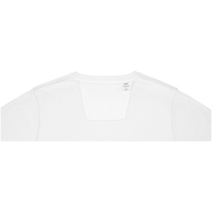 Pull ras de cou Zenon pour homme 41