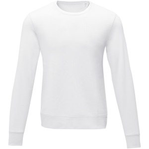 Pull ras de cou Zenon pour homme 17