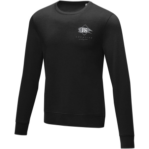 Pull ras de cou Zenon pour homme 18