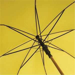Parapluie automatique TANGO 53