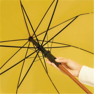 Parapluie automatique TANGO 55