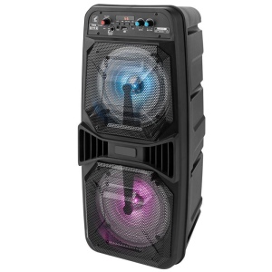 Enceinte Karaoké MetMaxx