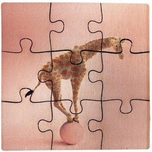 Puzzle CARRÉ bois - France