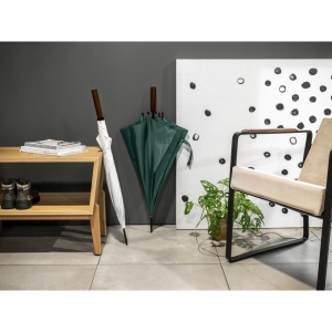 APOLO. Parapluie en polyester recyclé (100% rPET) pongee avec ouverture automatique 6