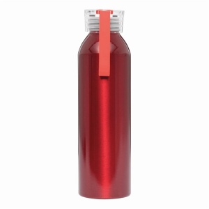 Gourde aluminium LOOPED 22