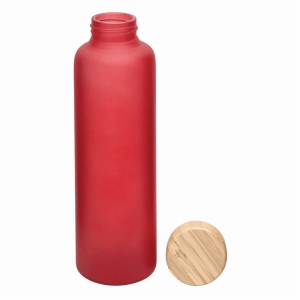 Bouteille en verre TAKE FROSTY 16