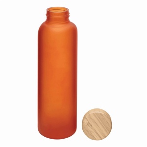 Bouteille en verre TAKE FROSTY 26