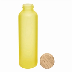Bouteille en verre TAKE FROSTY 31