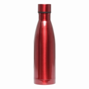 Bouteille isotherme LEGENDY 31
